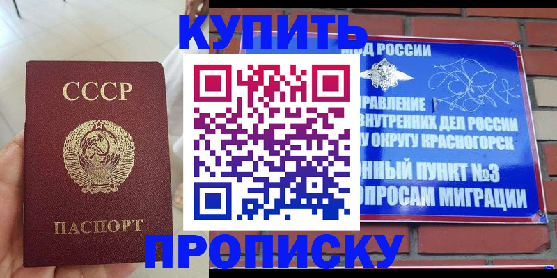 временная регистрация купить в Канаше